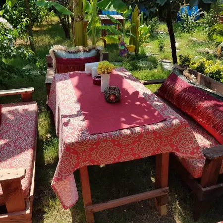 Authentic Deluxe B&B Hotel Room Surrounded By Nature In Antalya *