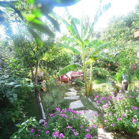 Authentic Deluxe B&B Hotel Room Surrounded By Nature In Antalya * Antalya