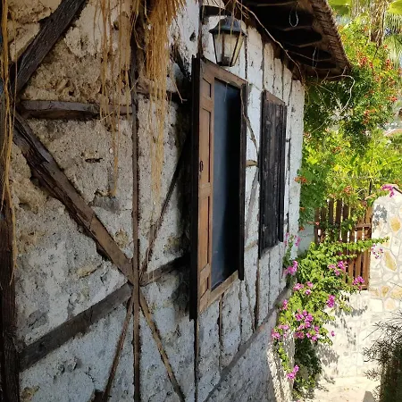 Authentic Deluxe B&B Hotel Room Surrounded By Nature In Antalya Bed & Breakfast Antalya